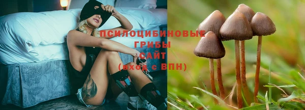 PSILOCYBIN Алексеевка