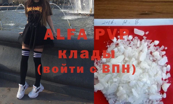 гидра Алексин