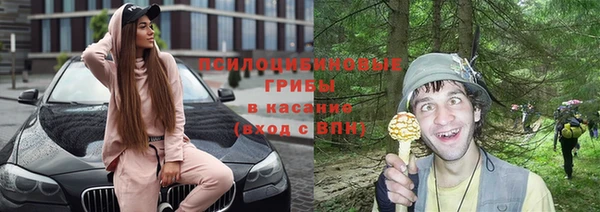 гидра Алексин