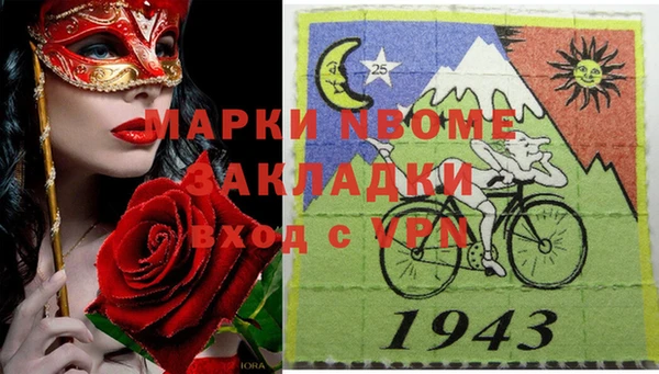 гидра Алексин