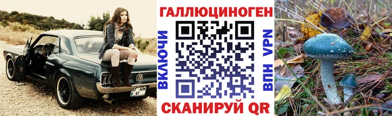 цена   Печоры  KRAKEN ТОР  Галлюциногенные грибы мухоморы 